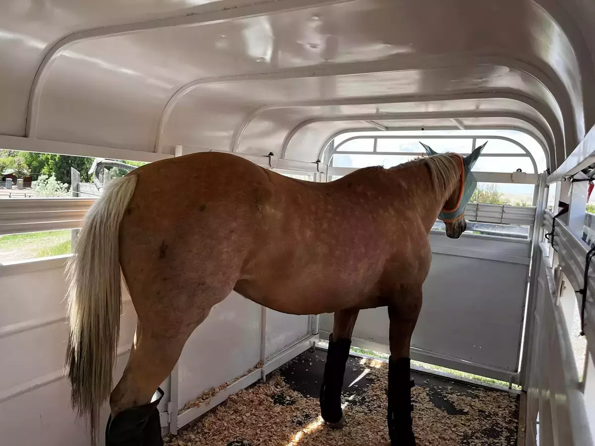 Photo by Rebecca L. via Neighbors Trailer in Norwell MA