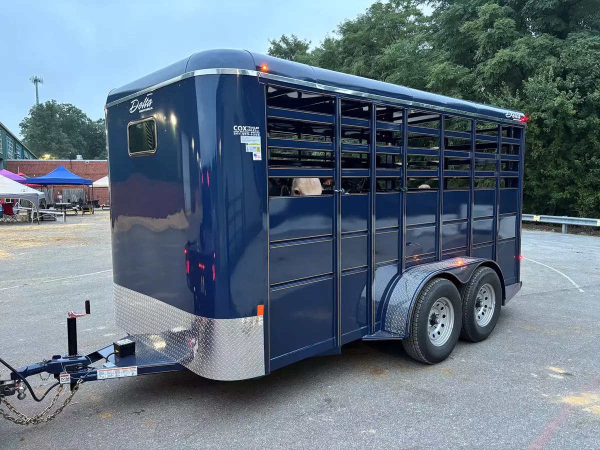 Horse Trailer Rental Near Me – Get the Best Options in Town
